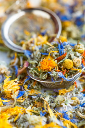 Herbs and flowers for herbal tea